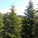 Zschirnsteinbaude Guest house 3*