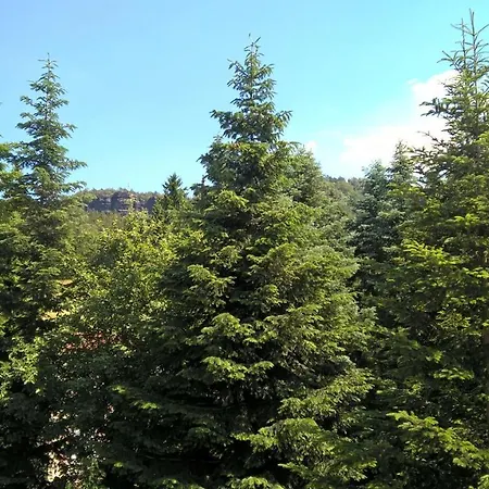 Zschirnsteinbaude Gæstehus