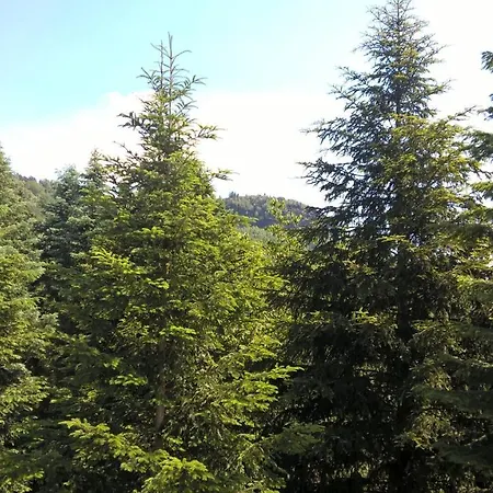 Zschirnsteinbaude Gæstehus 3*